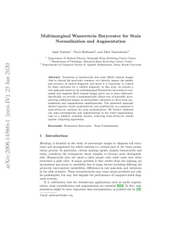 Multimarginal Wasserstein Barycenter for Stain Normalization and
  Augmentation