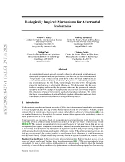 Biologically Inspired Mechanisms for Adversarial Robustness