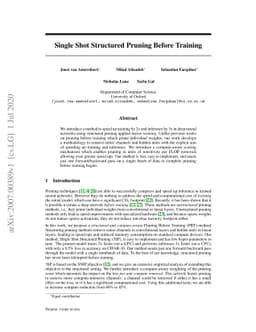 Single Shot Structured Pruning Before Training