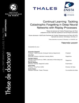Continual Learning: Tackling Catastrophic Forgetting in Deep Neural
  Networks with Replay Processes