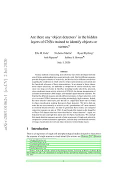 Are there any óbject detectors' in the hidden layers of CNNs trained to
  identify objects or scenes?