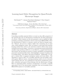 Learning-based Defect Recognition for Quasi-Periodic Microscope Images