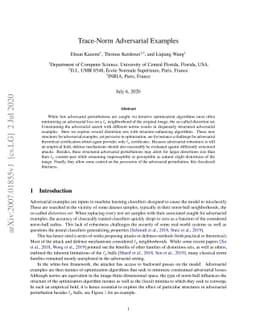 Trace-Norm Adversarial Examples