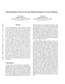 Selecting Regions of Interest in Large Multi-Scale Images for Cancer
  Pathology
