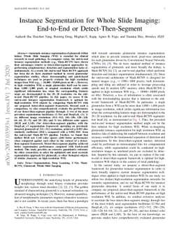 Instance Segmentation for Whole Slide Imaging: End-to-End or
  Detect-Then-Segment