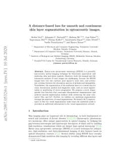 A distance-based loss for smooth and continuous skin layer segmentation
  in optoacoustic images