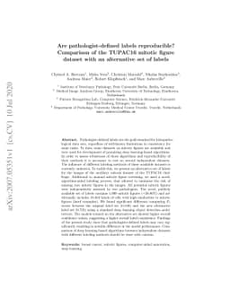 Are pathologist-defined labels reproducible? Comparison of the TUPAC16
  mitotic figure dataset with an alternative set of labels