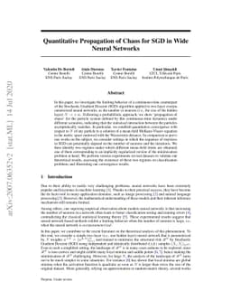Quantitative Propagation of Chaos for SGD in Wide Neural Networks