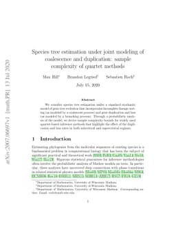 Species tree estimation under joint modeling of coalescence and
  duplication: sample complexity of quartet methods
