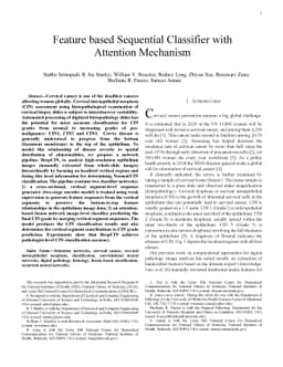 Feature based Sequential Classifier with Attention Mechanism