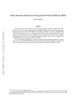 Multi-theorem (Malicious) Designated-Verifier NIZK for QMA