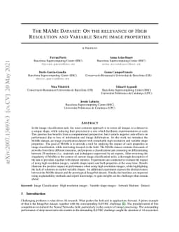 The MAMe Dataset: On the relevance of High Resolution and Variable Shape
  image properties