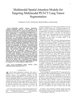 Multimodal Spatial Attention Module for Targeting Multimodal PET-CT Lung
  Tumor Segmentation