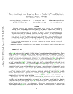 Detecting Suspicious Behavior: How to Deal with Visual Similarity
  through Neural Networks