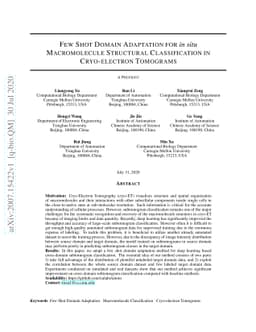 Few shot domain adaptation for in situ macromolecule structural
  classification in cryo-electron tomograms