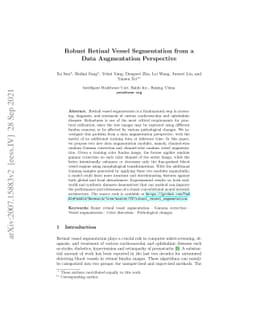 Robust Retinal Vessel Segmentation from a Data Augmentation Perspective