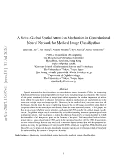 A Novel Global Spatial Attention Mechanism in Convolutional Neural
  Network for Medical Image Classification