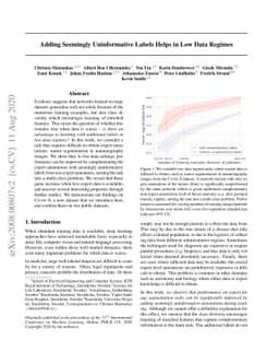 Adding Seemingly Uninformative Labels Helps in Low Data Regimes