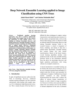 Deep Network Ensemble Learning applied to Image Classification using CNN
  Trees