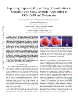 Improving Explainability of Image Classification in Scenarios with Class
  Overlap: Application to COVID-19 and Pneumonia