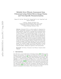 Reliable Liver Fibrosis Assessment from Ultrasound using Global
  Hetero-Image Fusion and View-Specific Parameterization
