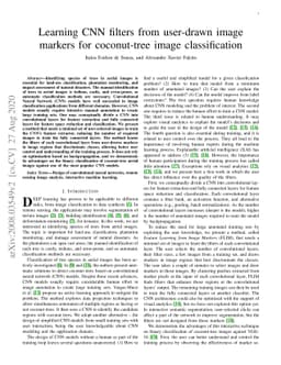 Learning CNN filters from user-drawn image markers for coconut-tree
  image classification