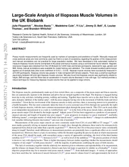 Large-Scale Analysis of Iliopsoas Muscle Volumes in the UK Biobank