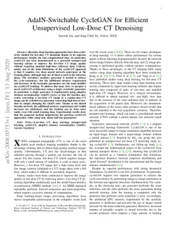 AdaIN-Switchable CycleGAN for Efficient Unsupervised Low-Dose CT
  Denoising