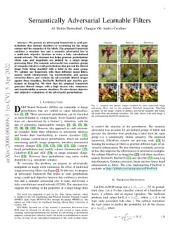 Semantically Adversarial Learnable Filters