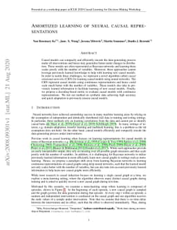 Amortized learning of neural causal representations