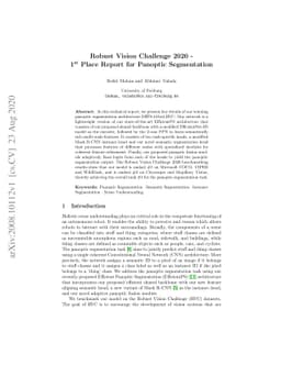 Robust Vision Challenge 2020 -- 1st Place Report for Panoptic
  Segmentation