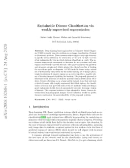 Explainable Disease Classification via weakly-supervised segmentation
