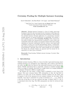 Certainty Pooling for Multiple Instance Learning