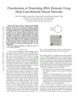 Classification of Noncoding RNA Elements Using Deep Convolutional Neural
  Networks