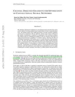 Channel-Directed Gradients for Optimization of Convolutional Neural
  Networks