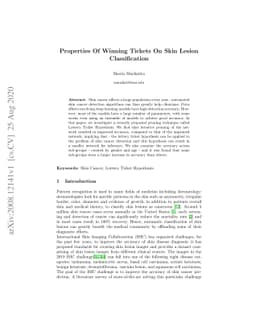 Properties Of Winning Tickets On Skin Lesion Classification