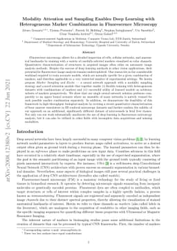 Modality Attention and Sampling Enables Deep Learning with Heterogeneous
  Marker Combinations in Fluorescence Microscopy