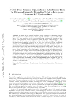 W-Net: Dense Semantic Segmentation of Subcutaneous Tissue in Ultrasound
  Images by Expanding U-Net to Incorporate Ultrasound RF Waveform Data