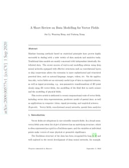 A Short Review on Data Modelling for Vector Fields