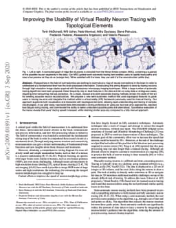 Improving the Usability of Virtual Reality Neuron Tracing with
  Topological Elements