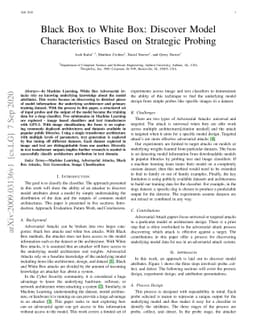 Black Box to White Box: Discover Model Characteristics Based on
  Strategic Probing