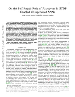 On the Self-Repair Role of Astrocytes in STDP Enabled Unsupervised SNNs