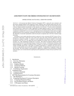 Assignment Flow for Order-Constrained OCT Segmentation