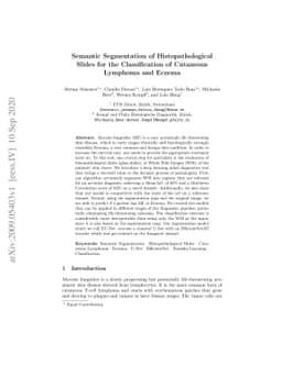 Semantic Segmentation of Histopathological Slides for the Classification
  of Cutaneous Lymphoma and Eczema