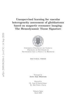 Unsupervised learning for vascular heterogeneity assessment of
  glioblastoma based on magnetic resonance imaging: The Hemodynamic Tissue
  Signature