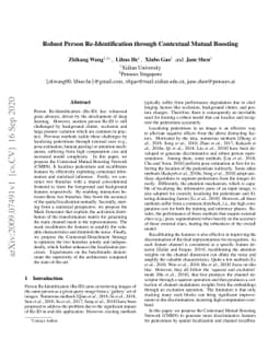 Robust Person Re-Identification through Contextual Mutual Boosting