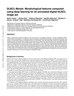 DLBCL-Morph: Morphological features computed using deep learning for an
  annotated digital DLBCL image set