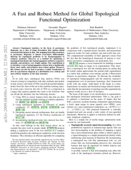 A Fast and Robust Method for Global Topological Functional Optimization