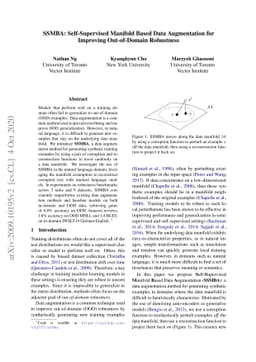 SSMBA: Self-Supervised Manifold Based Data Augmentation for Improving
  Out-of-Domain Robustness