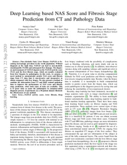 Deep Learning based NAS Score and Fibrosis Stage Prediction from CT and
  Pathology Data